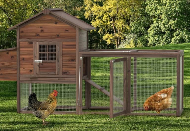 WhatsApp Image 2026 01 27 At 2.52.05 AM