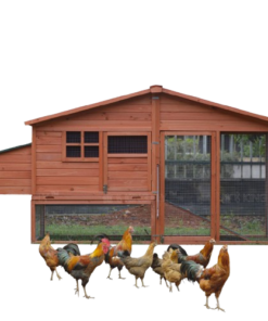 shaw ye waterproof roof large chicken coop cages wooden easy clean chicken house with wire mesh run